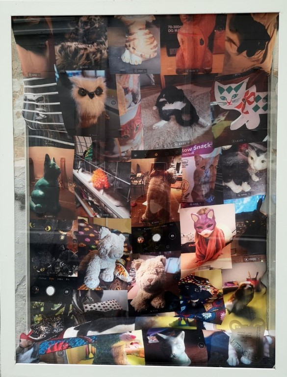 Kassinäitus, 2020. EKA Vitriingalerii, Tallinn.