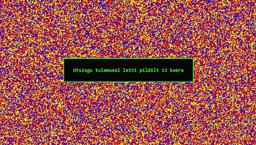 Janne Lias, Projekt Koer. Kuvatõmmis.